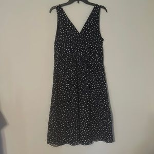 NWT Size 12 Navy/white polka dot fit and flare lined dress.